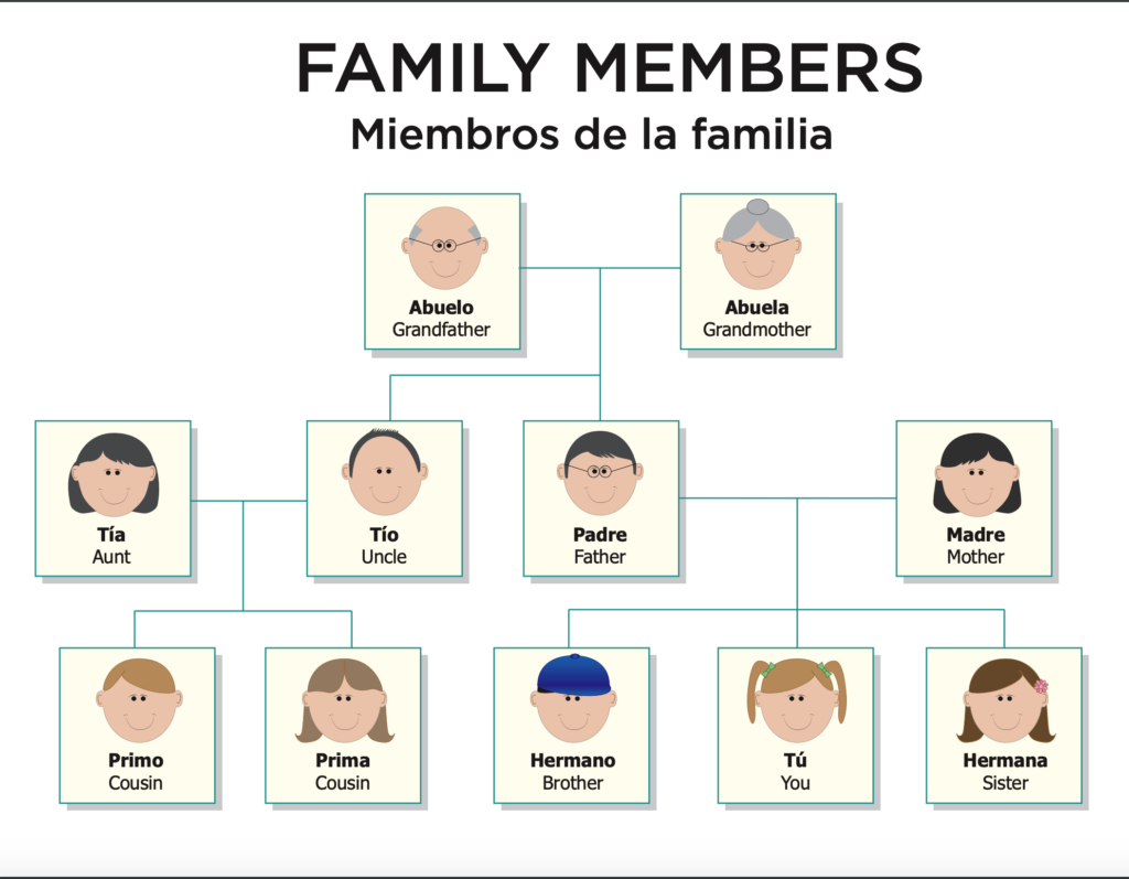 Family Members in Spanish