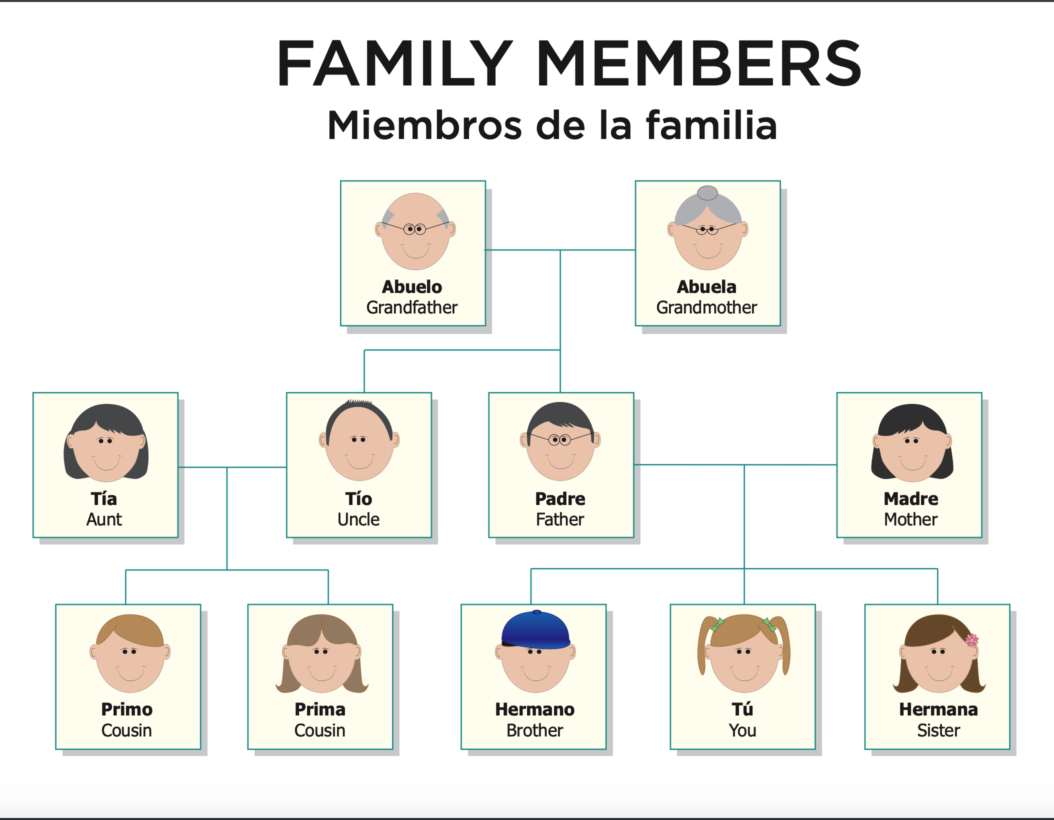 Member answers. A member of the Family. Семья на английском. Карточки Family members.